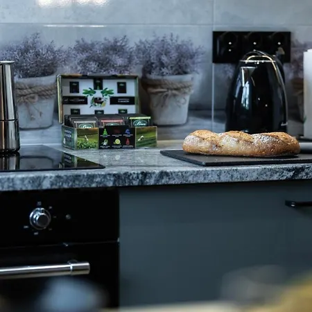 Appartamento Pilsudskiego 84a - 300 Metrow Od Dworca Pkp Breslavia